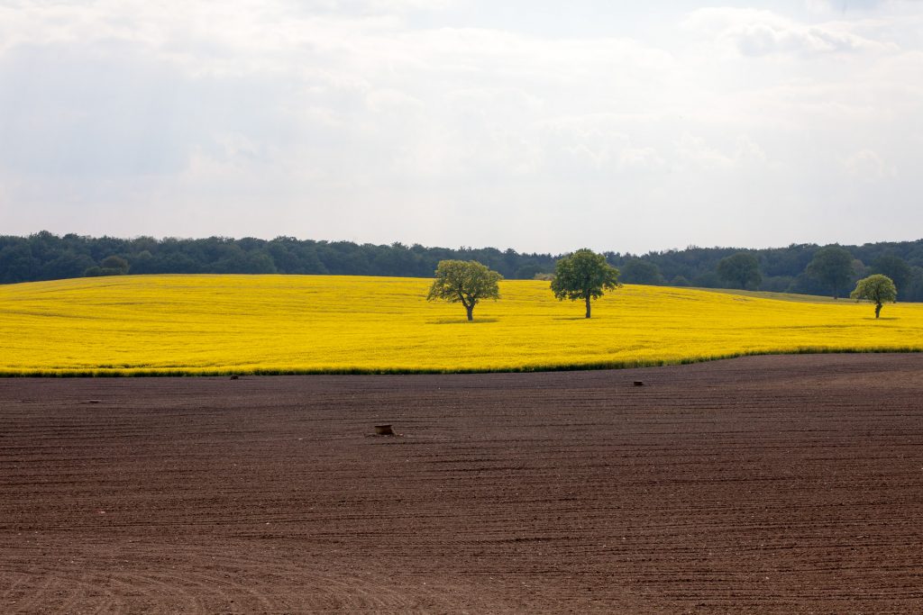 Arbeitsgemeinschaft des Grundbesitzes