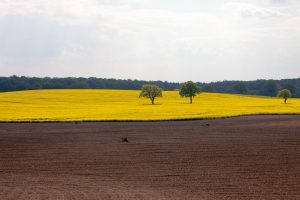 Familienbetriebe Land und Forst Schleswig-Holstein e.V.