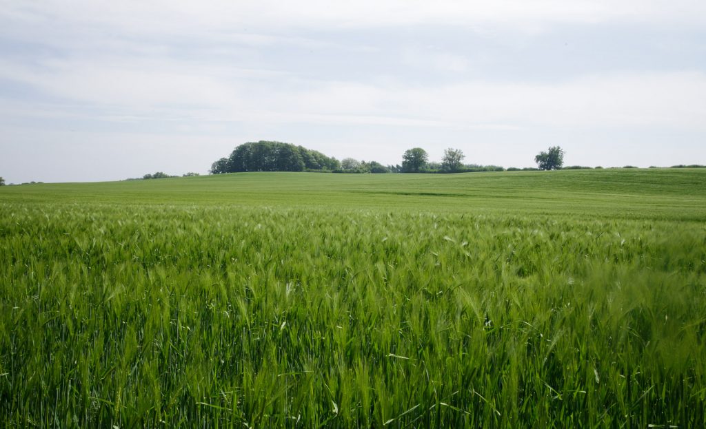 Arbeitsgemeinschaft des Grundbesitzes