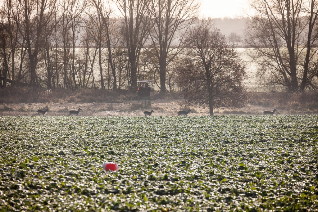 Arbeitsgemeinschaft des Grundbesitzes