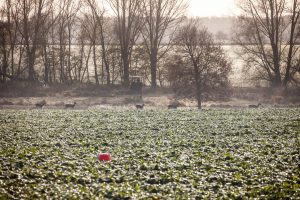 Familienbetriebe Land und Forst Schleswig-Holstein e.V.