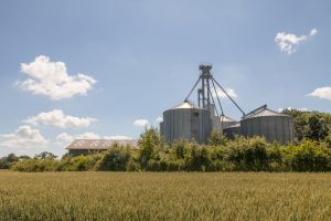 Familienbetriebe Land und Forst Schleswig-Holstein e.V.