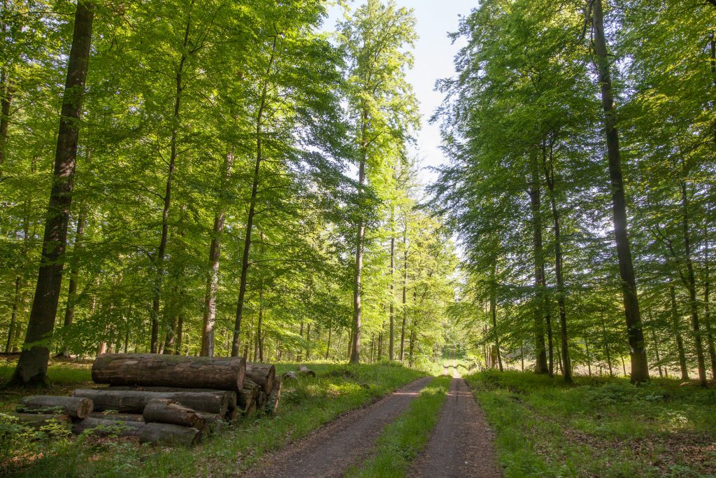 Arbeitsgemeinschaft des Grundbesitzes